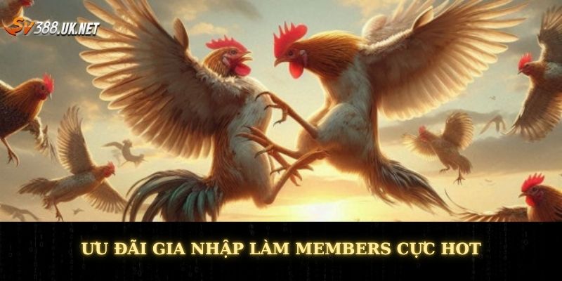 Đăng Ký SV388 - Tham Gia Trải Nghiệm Giải Trí Không Giới Hạn Ưu đãi gia nhập làm members cực hot