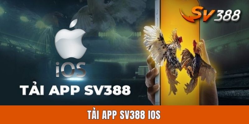 Tải App Sv388 iOS | Chỉ Dẫn 4 Bước Download Ứng Dụng A - Z Tải App Sv388 iOS | Chỉ Dẫn 4 Bước Download Ứng Dụng A - Z